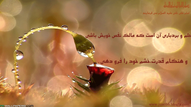 بردباری بردباری