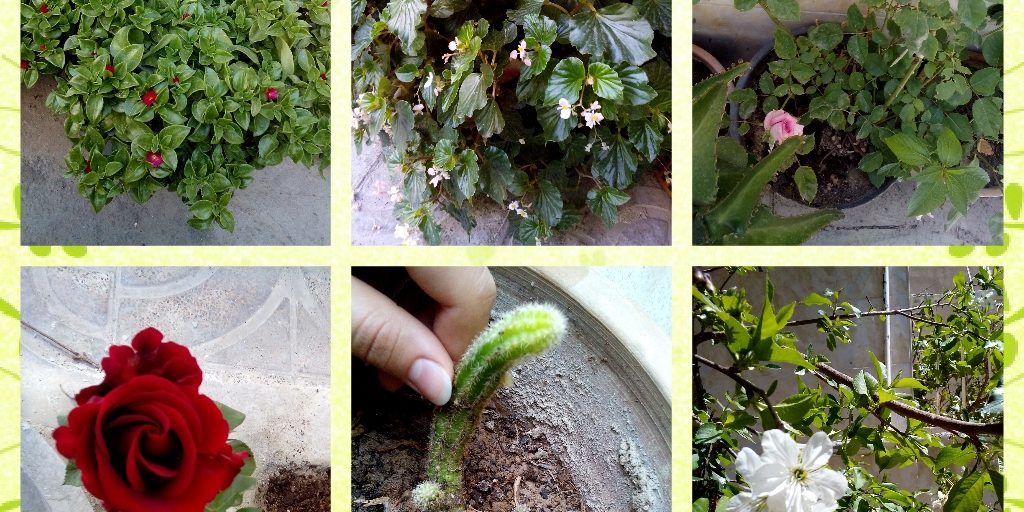 لذت از زندگی