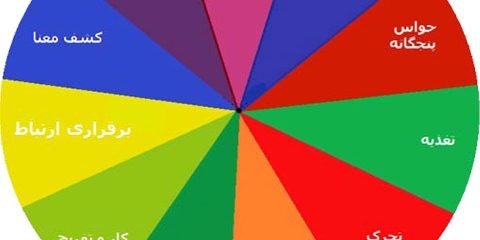 ابعاد سلامت ابعاد سلامت