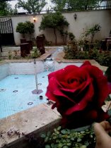 سلامت سلامت