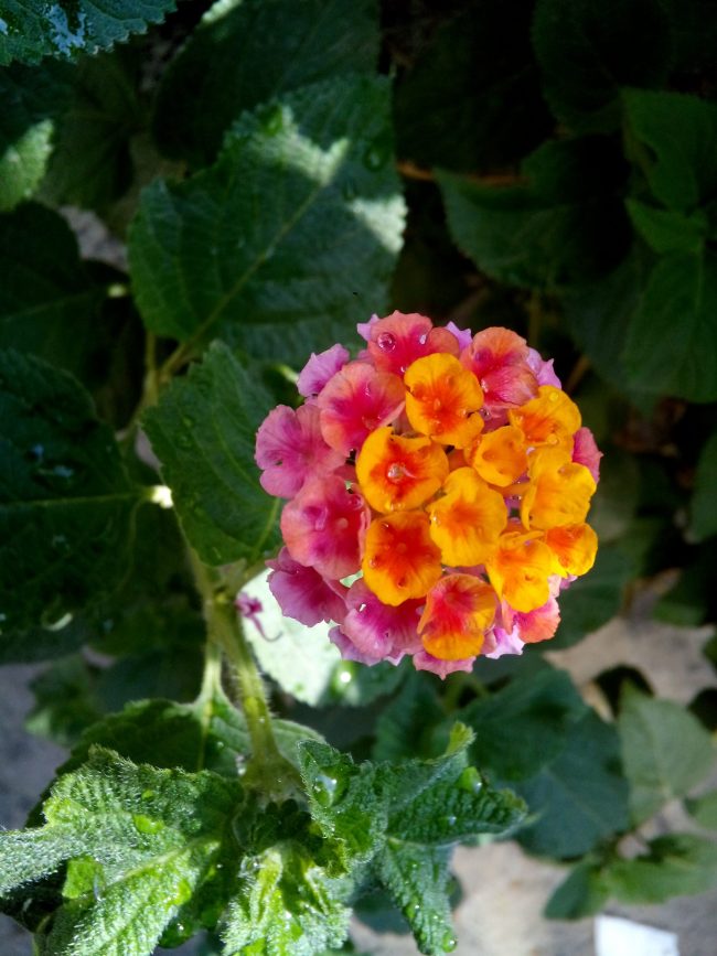 Gentle relationships Gentle relationships