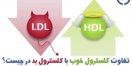 کلسترول کلسترول