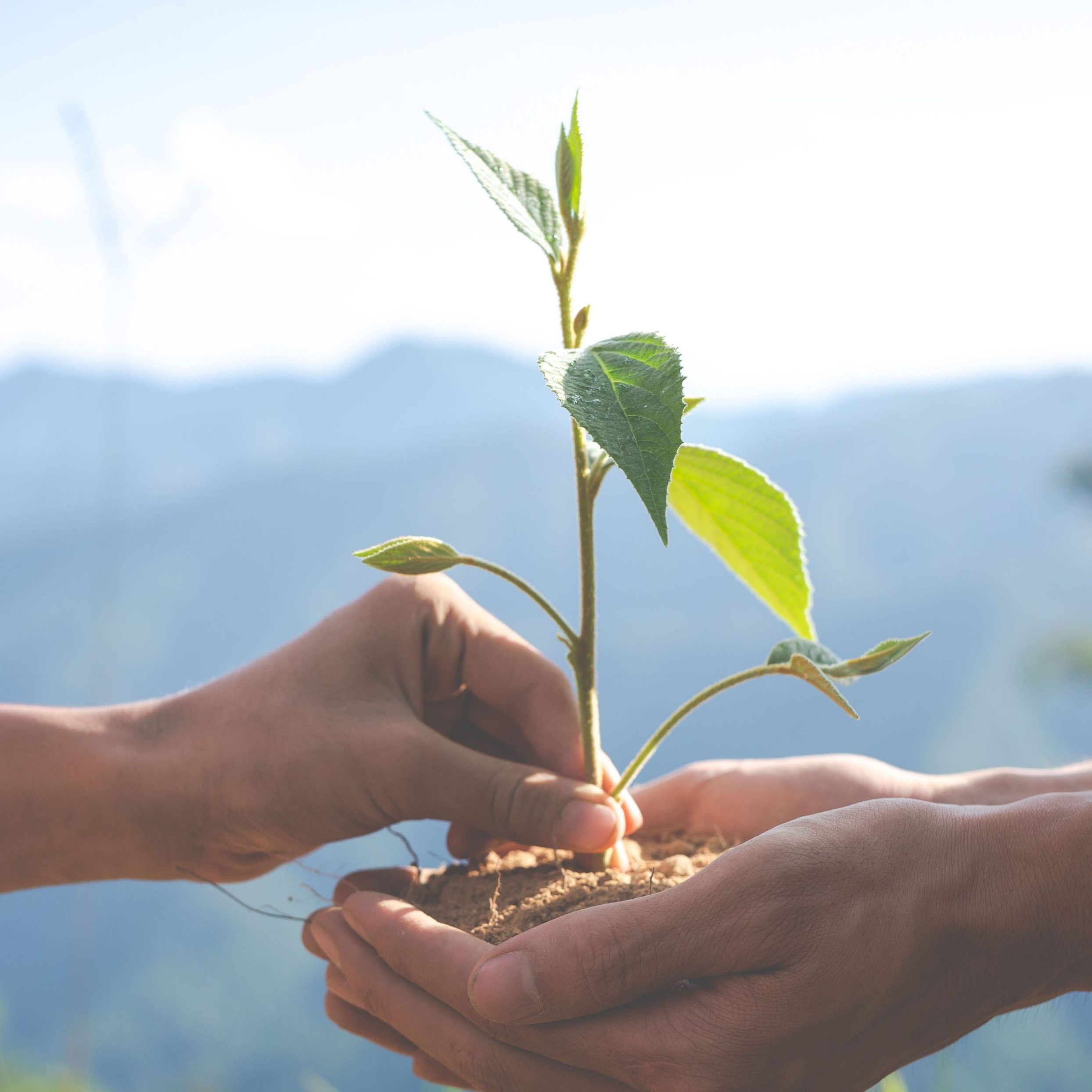 کلیدهای زندگی سالم