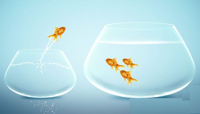 خودکارآمدی