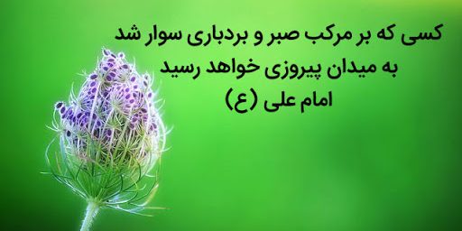 صبر و بردباری