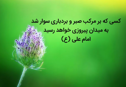 صبر و بردباری