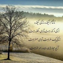 زندگی زندگی