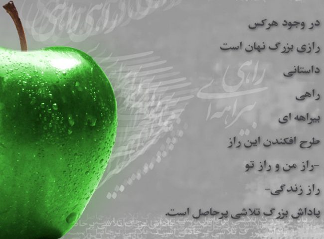 هدف-در-زندگی