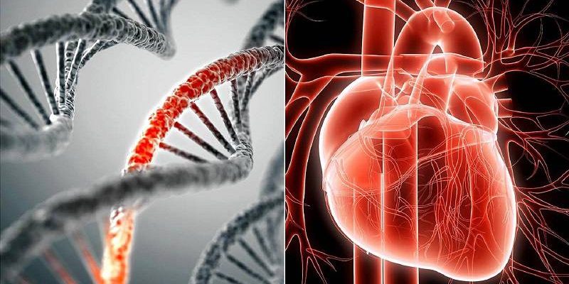 سابقه فامیلی سابقه فامیلی
