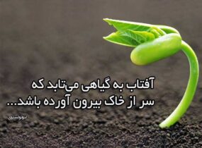 Happy life زندگی