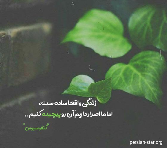 زندگی معنادار